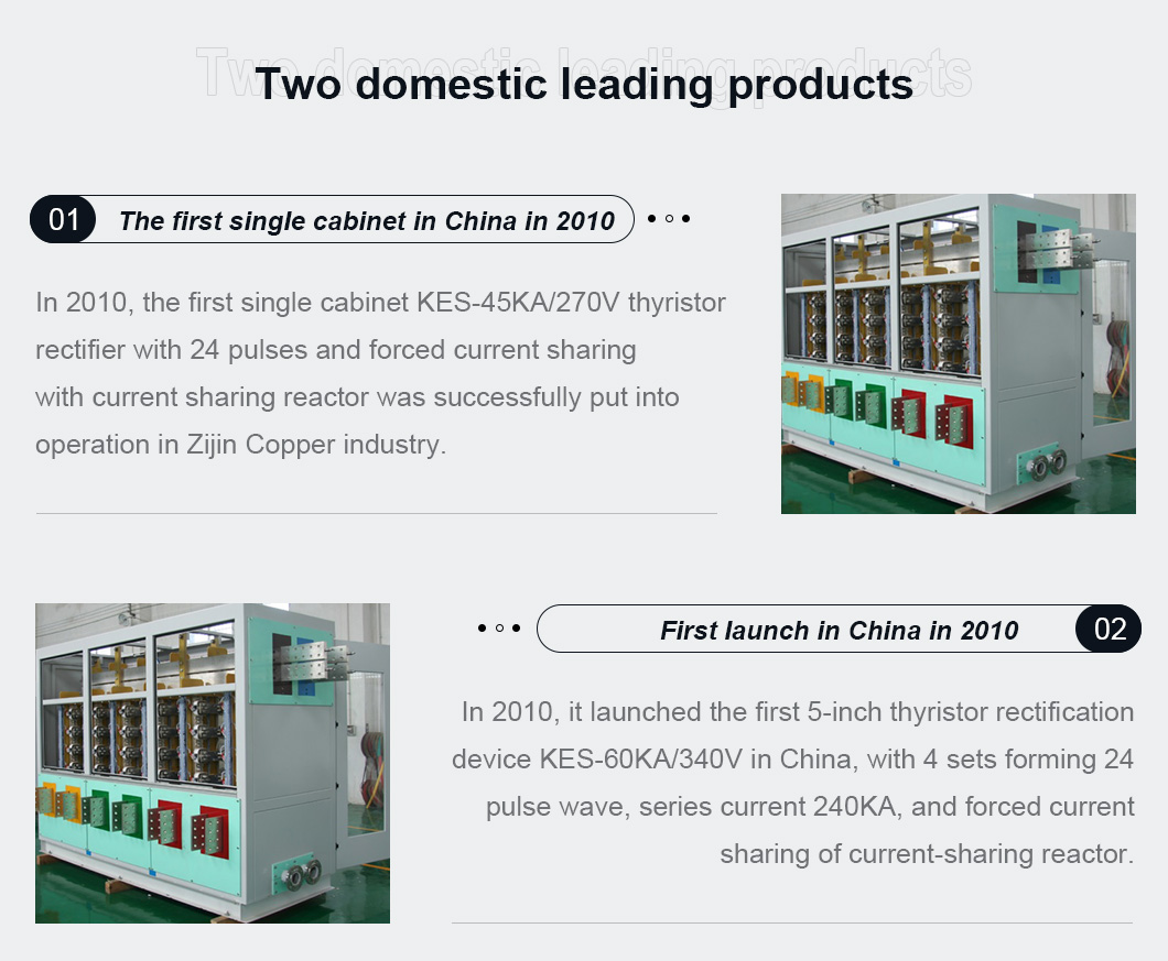 Two domestic leading products